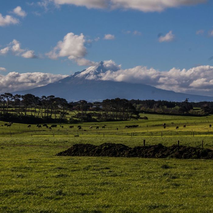 Tira Māori | Heritage New Zealand Pouhere Taonga