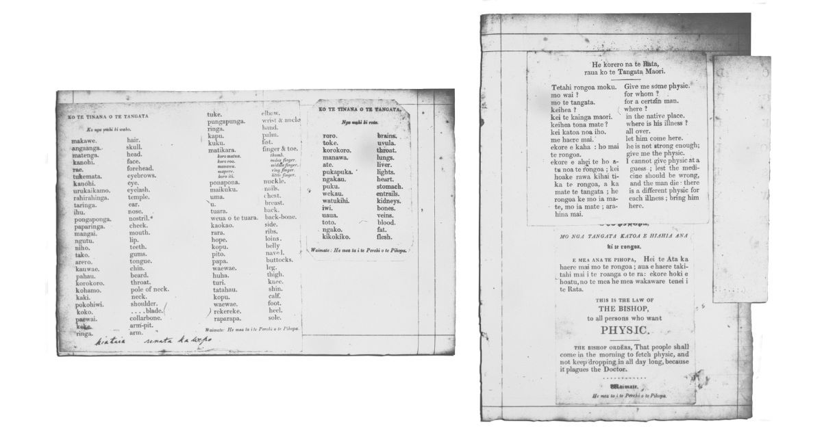 Learning Te Reo some of New Zealand’s earliest guides on display