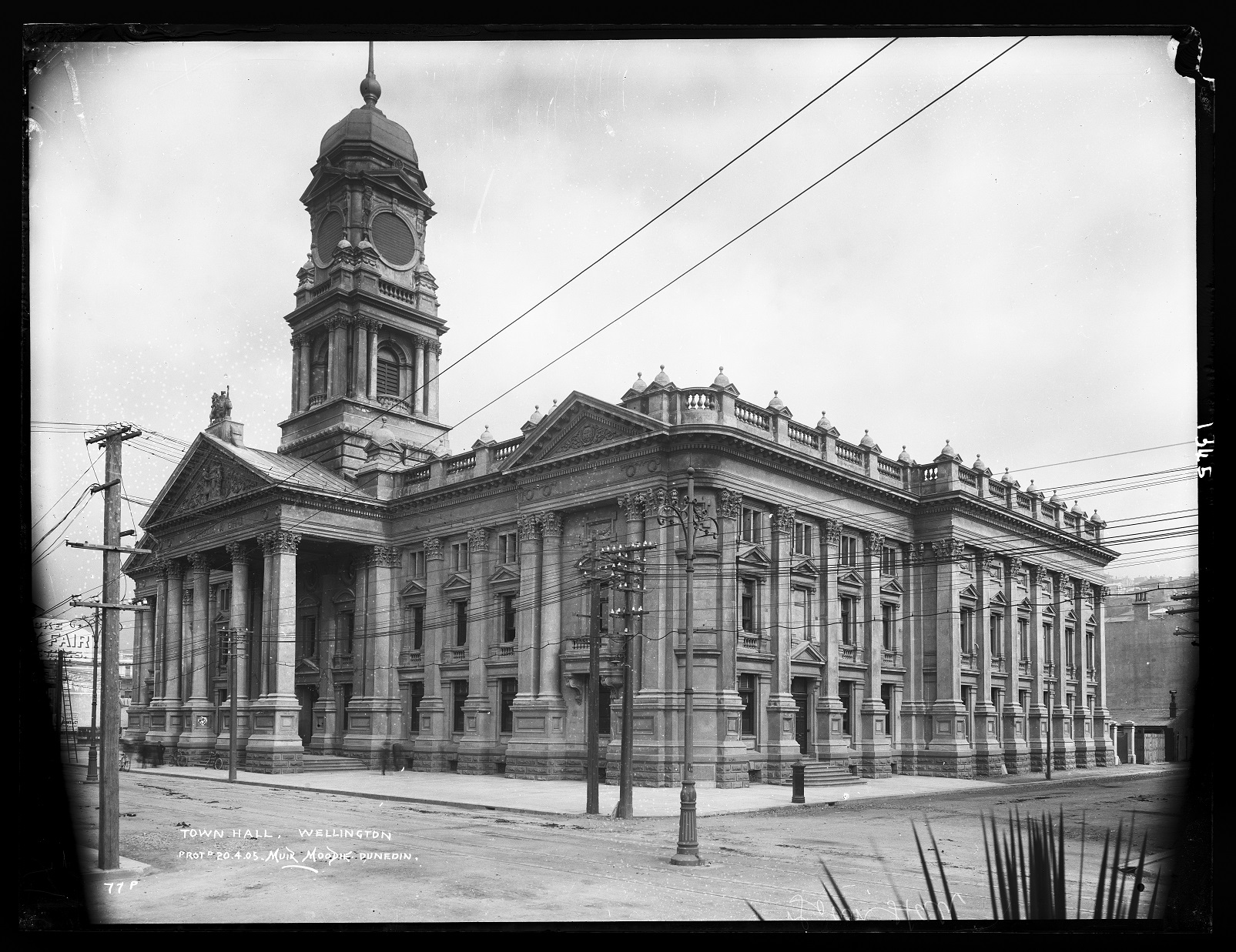 A journey through time and transformation at Te Aro Park(04)